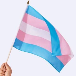 Trans flag