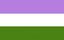 The History of the Transgender Flag